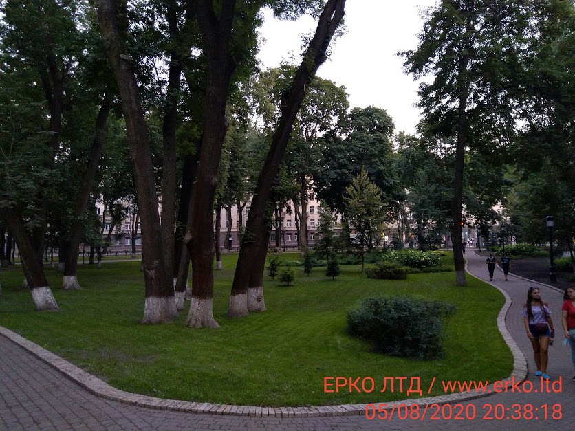 Мариинский парк 
